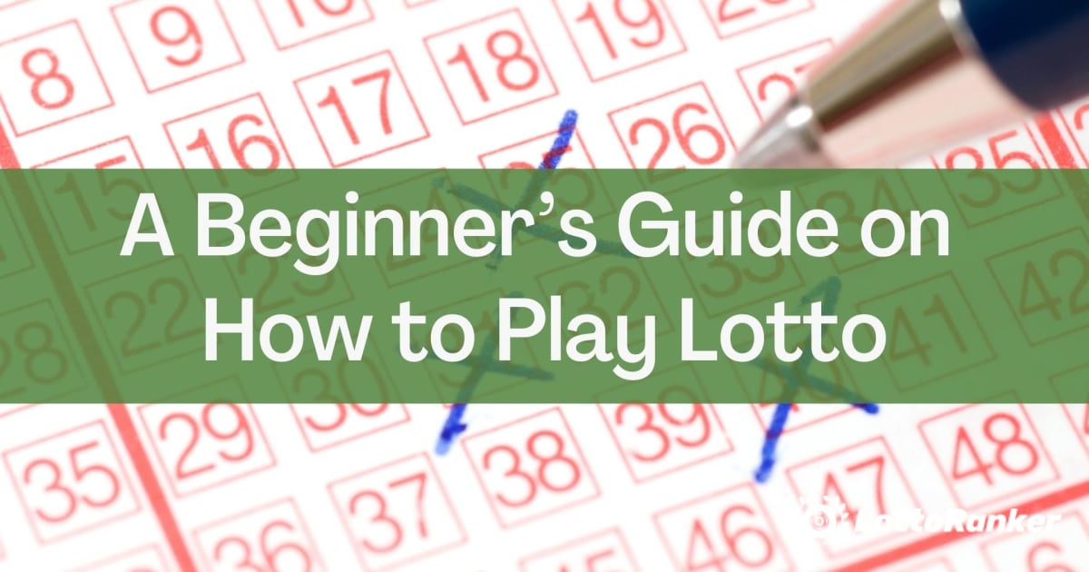A Beginnerâ€™s Guide on How to Play Lotto